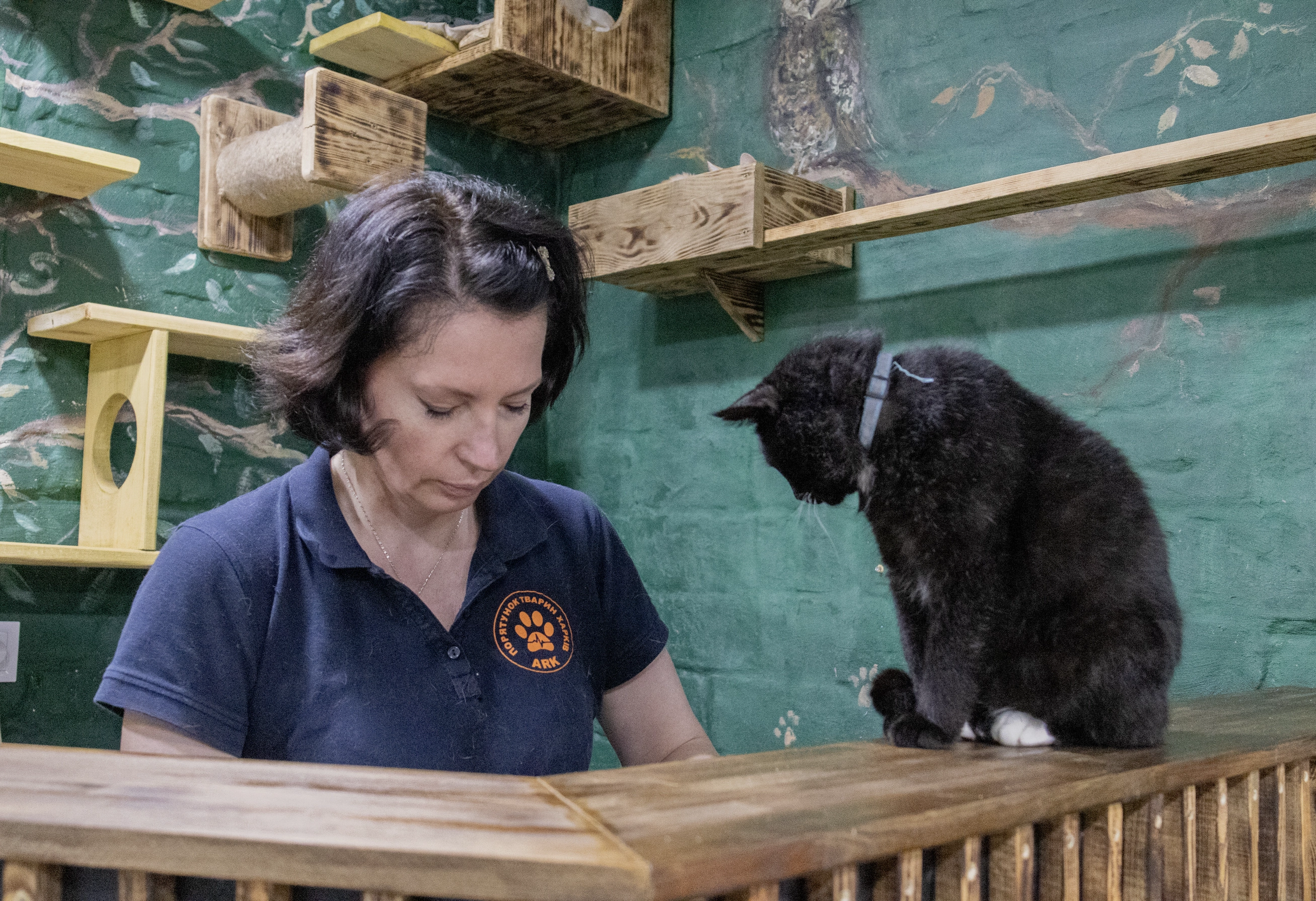 зображення до посту: In photos: Kharkiv rehabilitation center for mutual therapy of people and cats evacuated from combat zones of Russia’s war in Ukraine