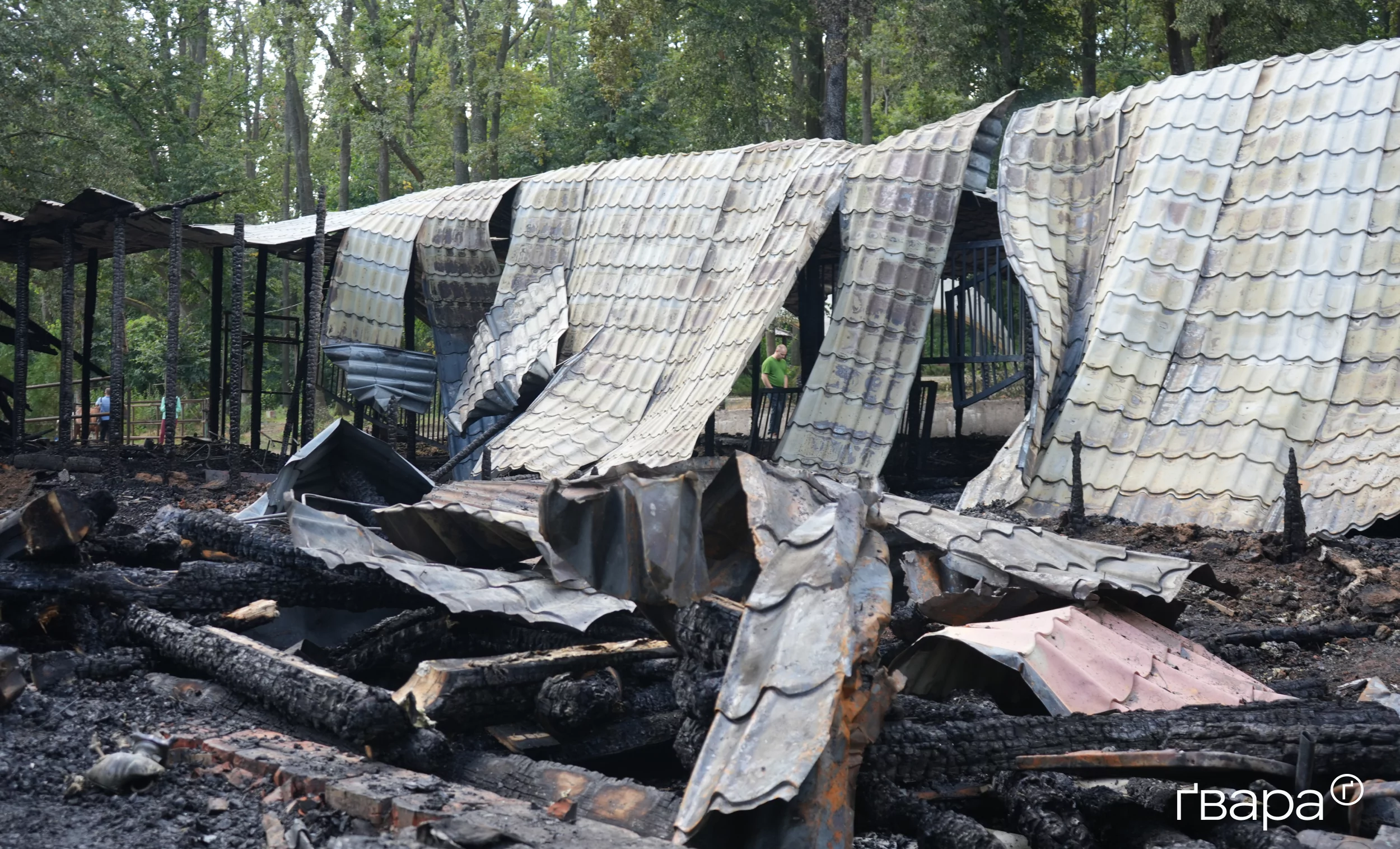 зображення до посту: Армія РФ обстріляла екопарк у Харкові, поранено двоє працівників — фоторепортаж