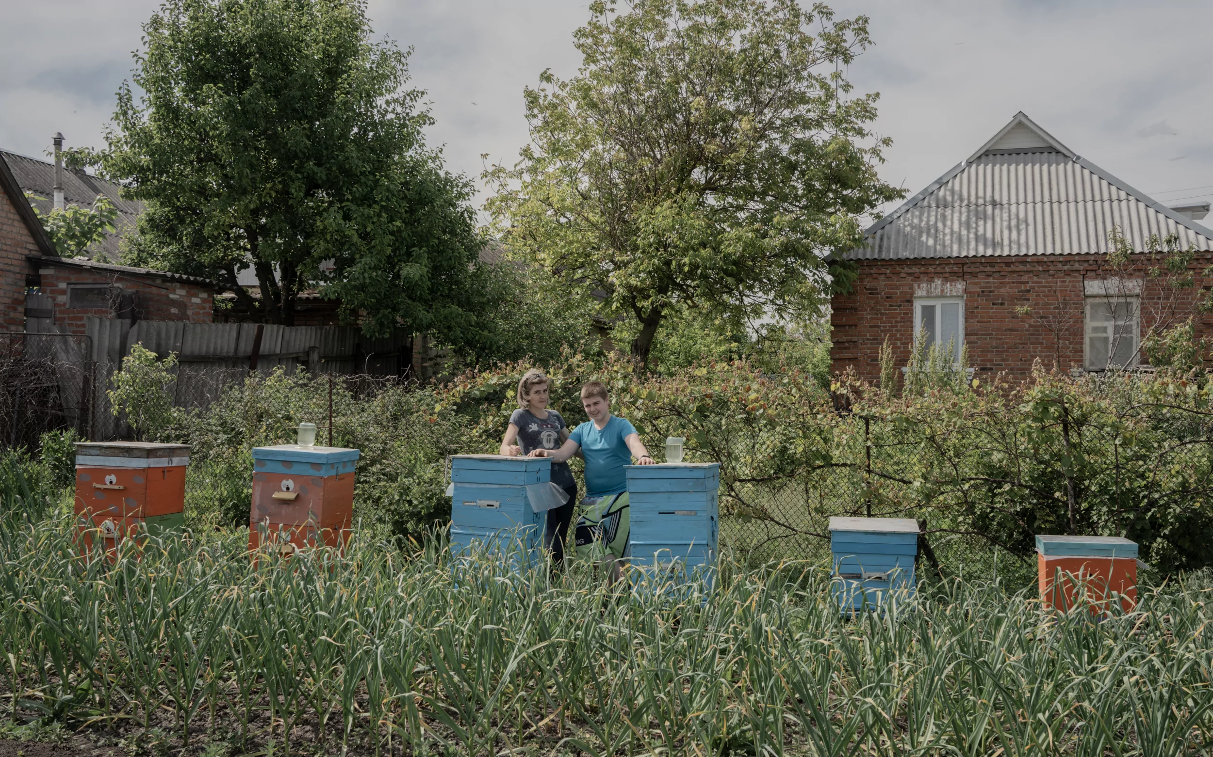 Yehor and his beehives in Zavodske, Poltavska Oblast / Photo: Daria Lobanok, Gwara Media