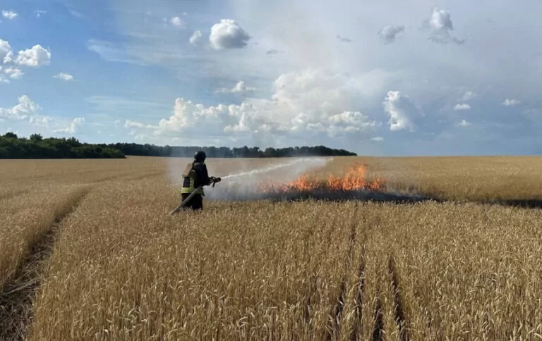 РФ завдала навмисного удару по хлібному полю на Харківщині — ДСНС