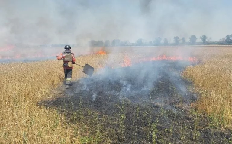 На Харківщині за добу сталося майже сто пожеж в екосистемах