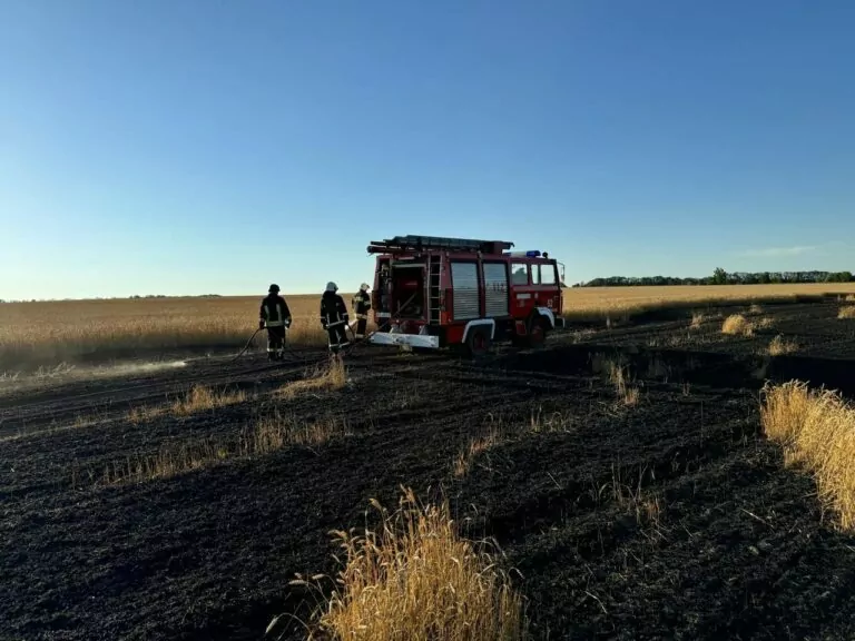 Російські війська завдали удару по полю з пшеницею