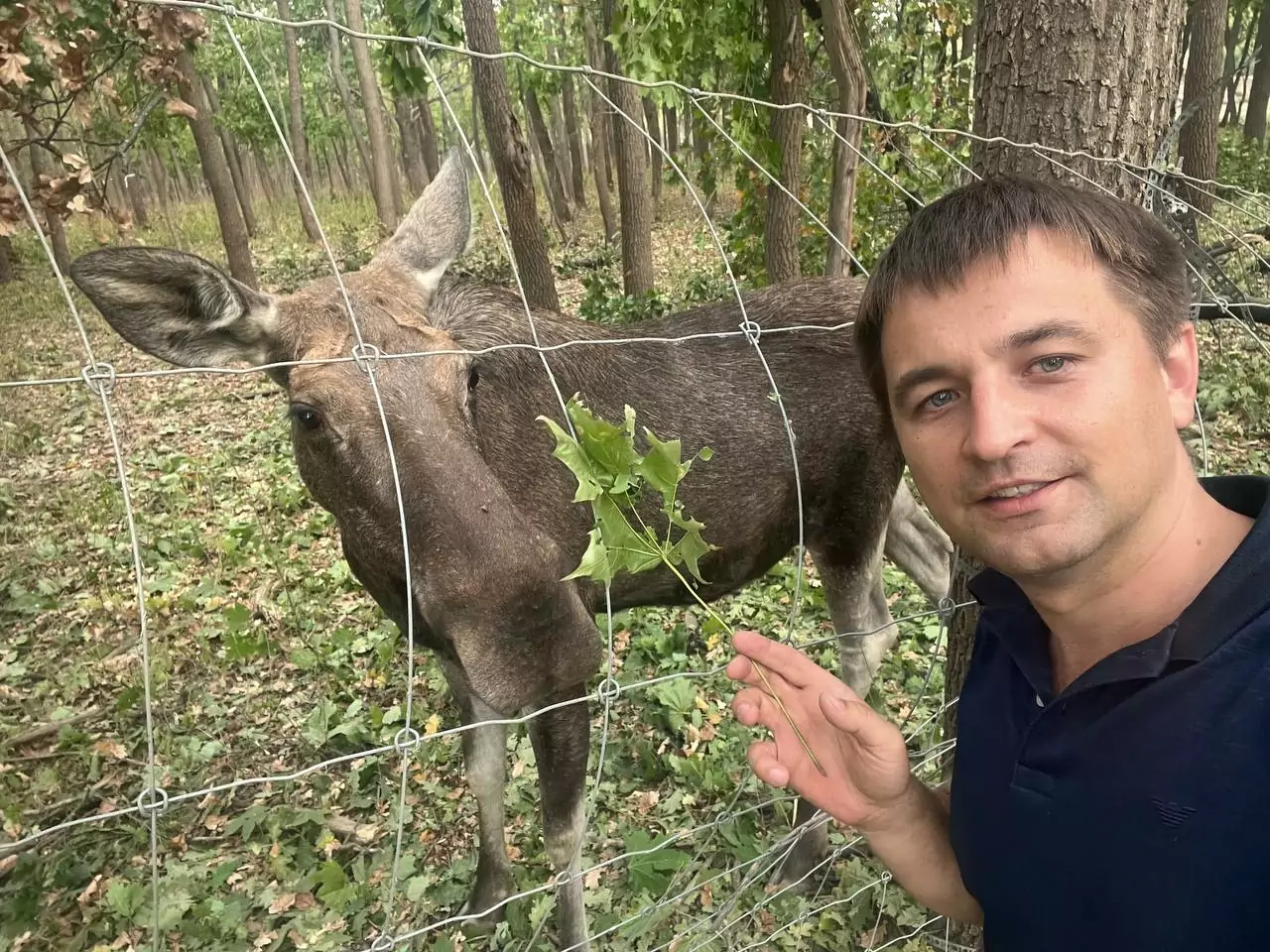 зображення до посту: «Нам пощастило — всі цілі»: як Росія обстріляла житловий район Харкова