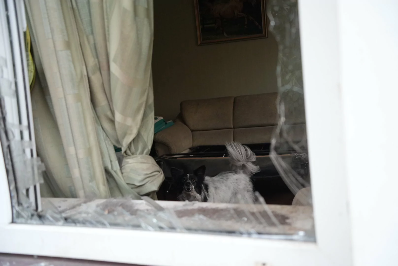 зображення до посту: In photos: Russians dropped glide bomb on Kharkiv, injure 5 people, including child