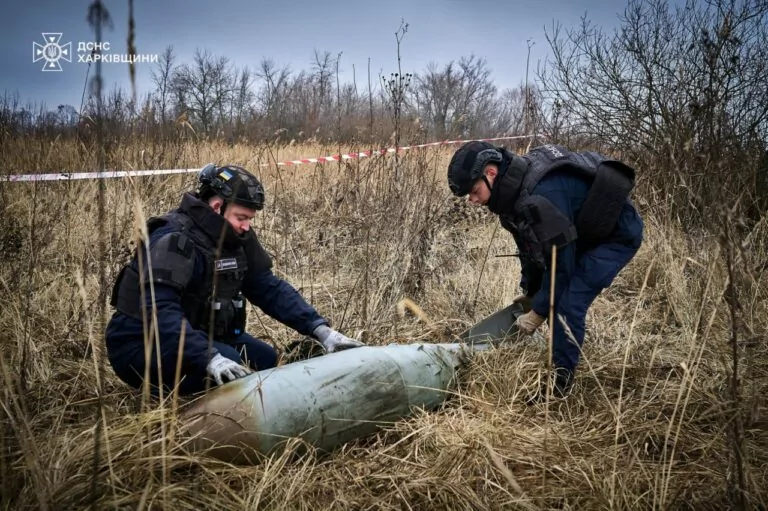 У грудні запрацює Реєстр замінованих територій України — МВС