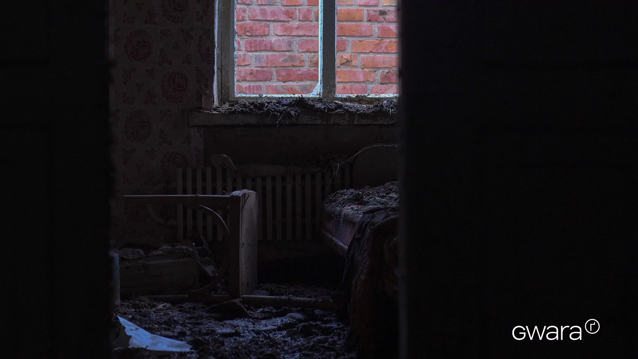 зображення до посту: «Shadows Among Us» — Documentary Film by Gwara Media