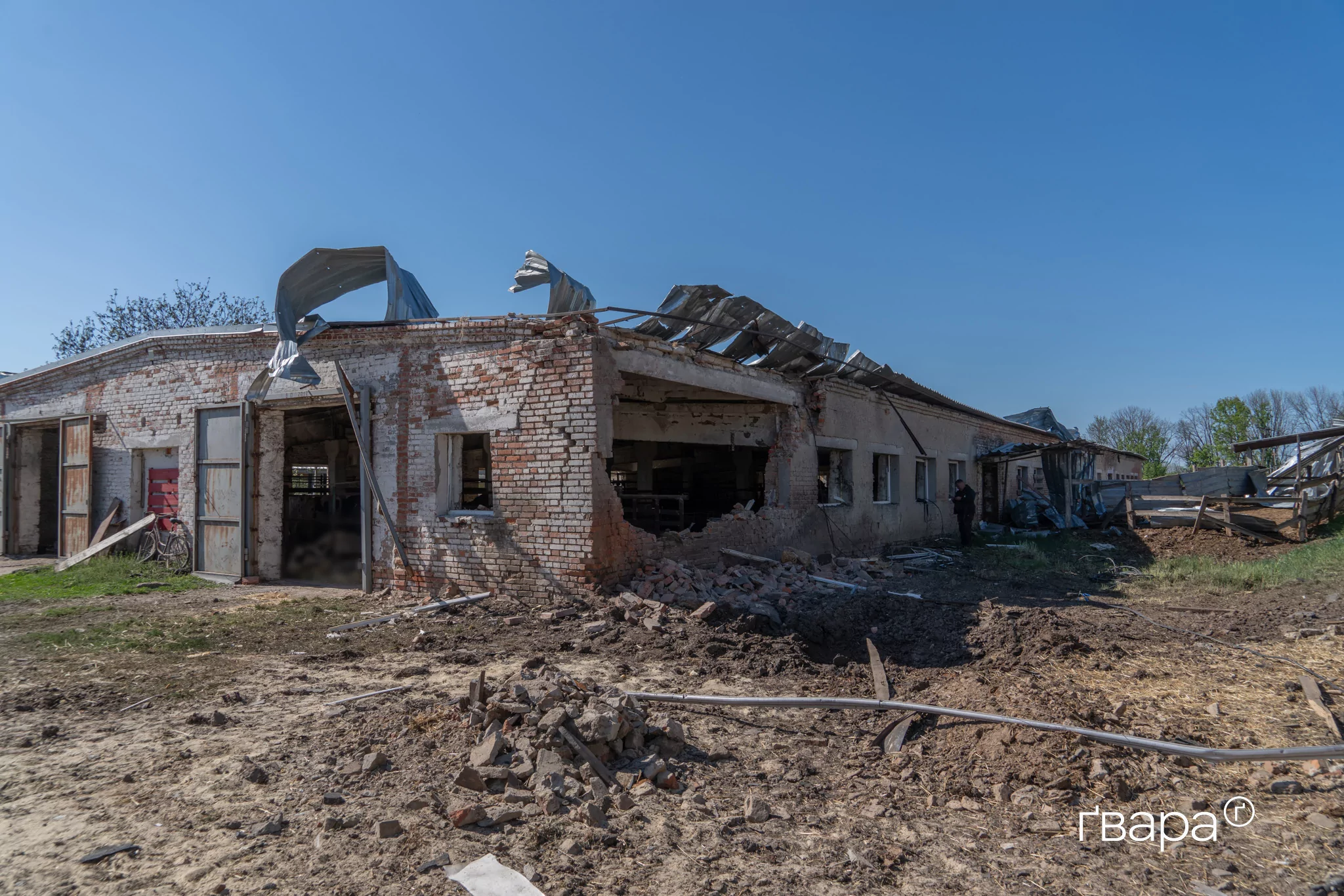 зображення до посту: До 100 корів вбито: наслідки влучань 10 безпілотників у ферму на Харківщині — фото