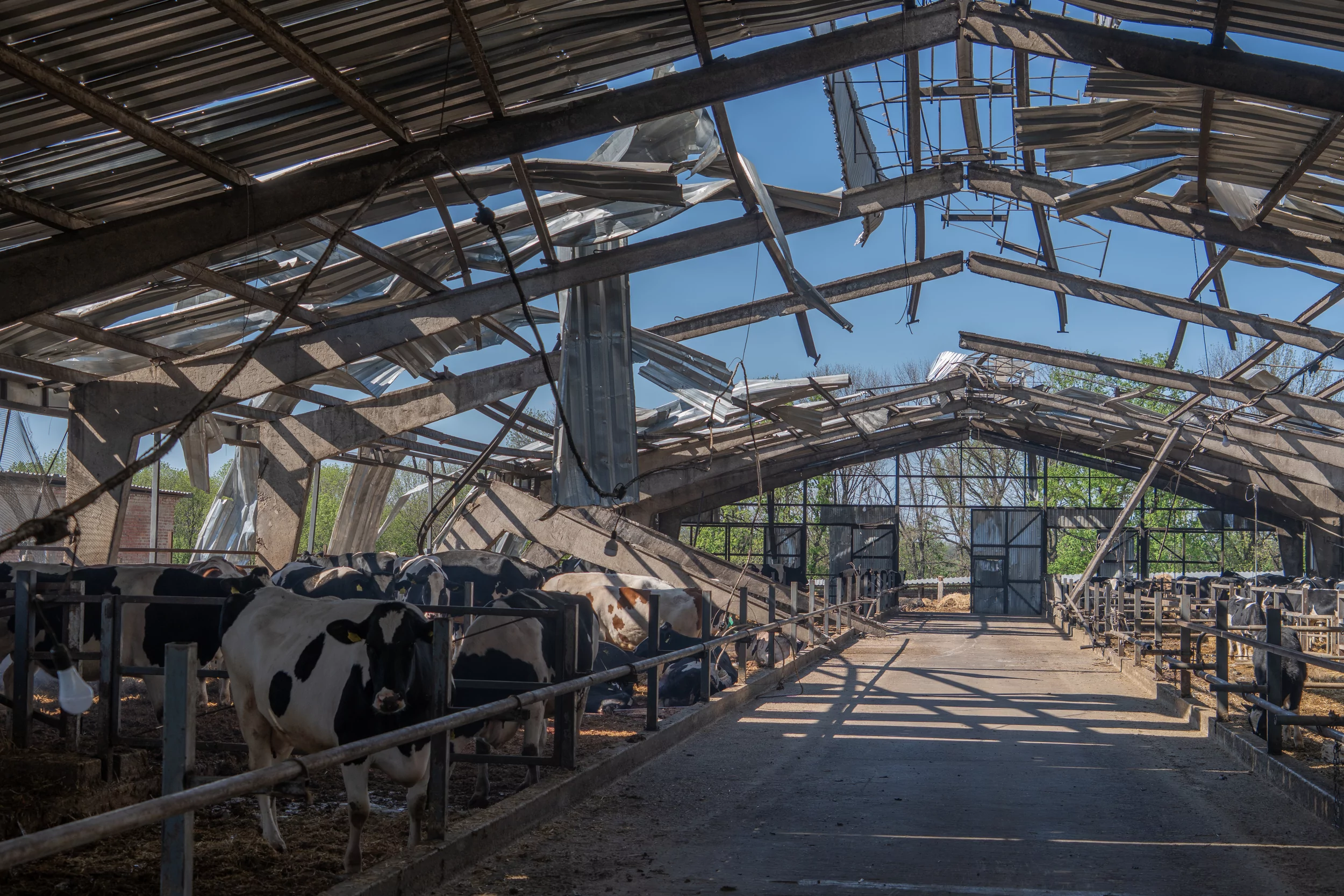 Damaged cowshed after Russian attack on April 28