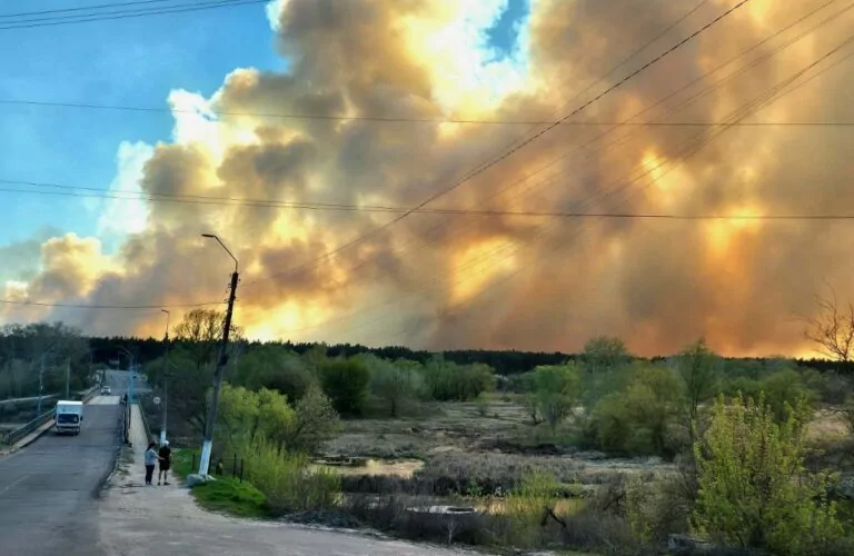 На Харківщині понад добу гасять пожежу в лісі біля Балаклії