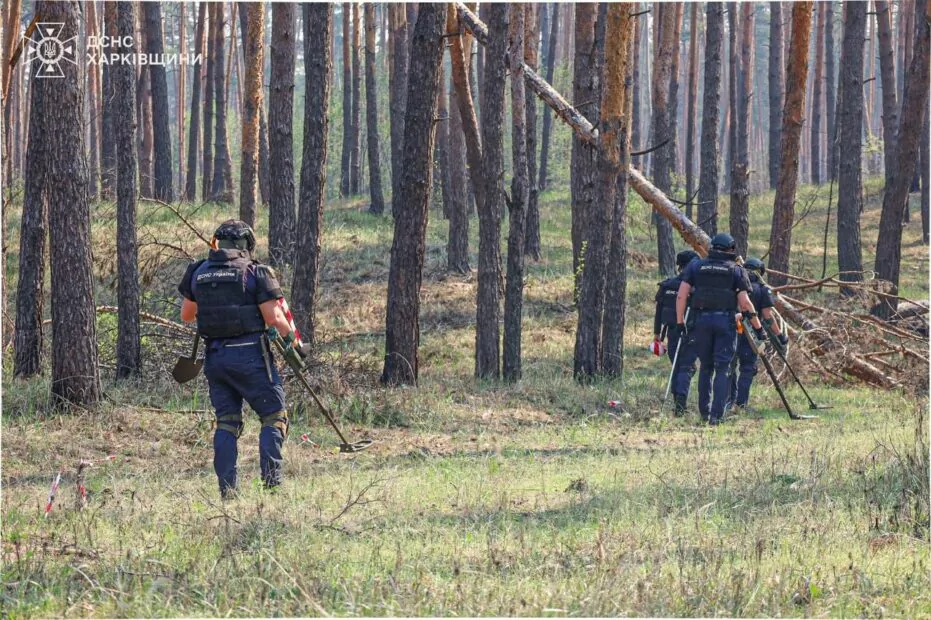 Sappers checking the territories of Balakliia forestry