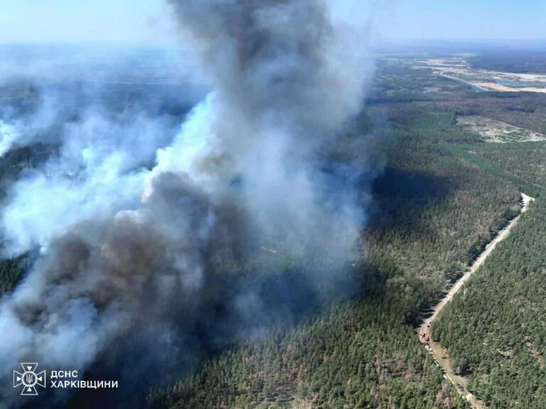 Four days of forest fire. Russian mines obstruct firefighters’ mission in Kharkiv Oblast 