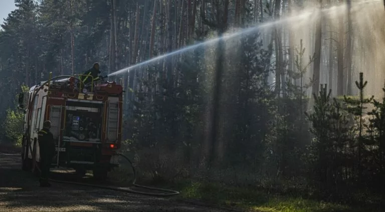 Пожежу біля Балаклії, що тривала три дні, локалізували