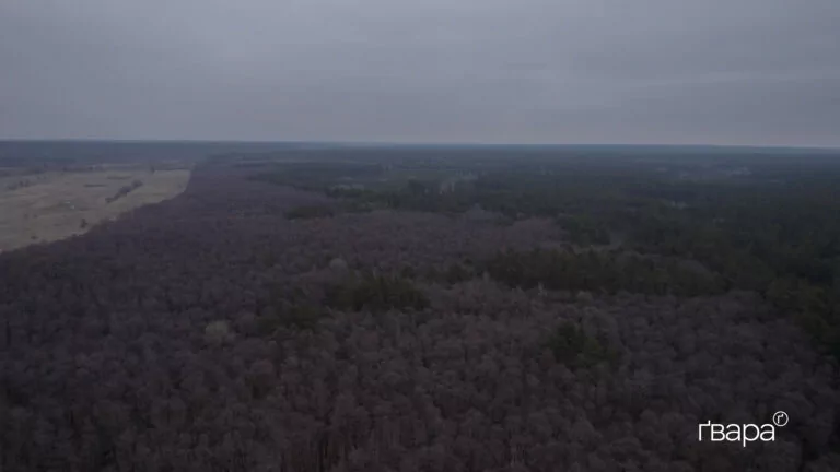 Якою буде погода на Харківщині 21 листопада – прогноз