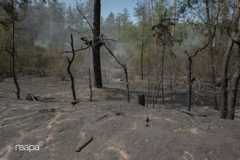 Як в Ізюмі усувають масштабну лісову пожежу — фоторепортаж
