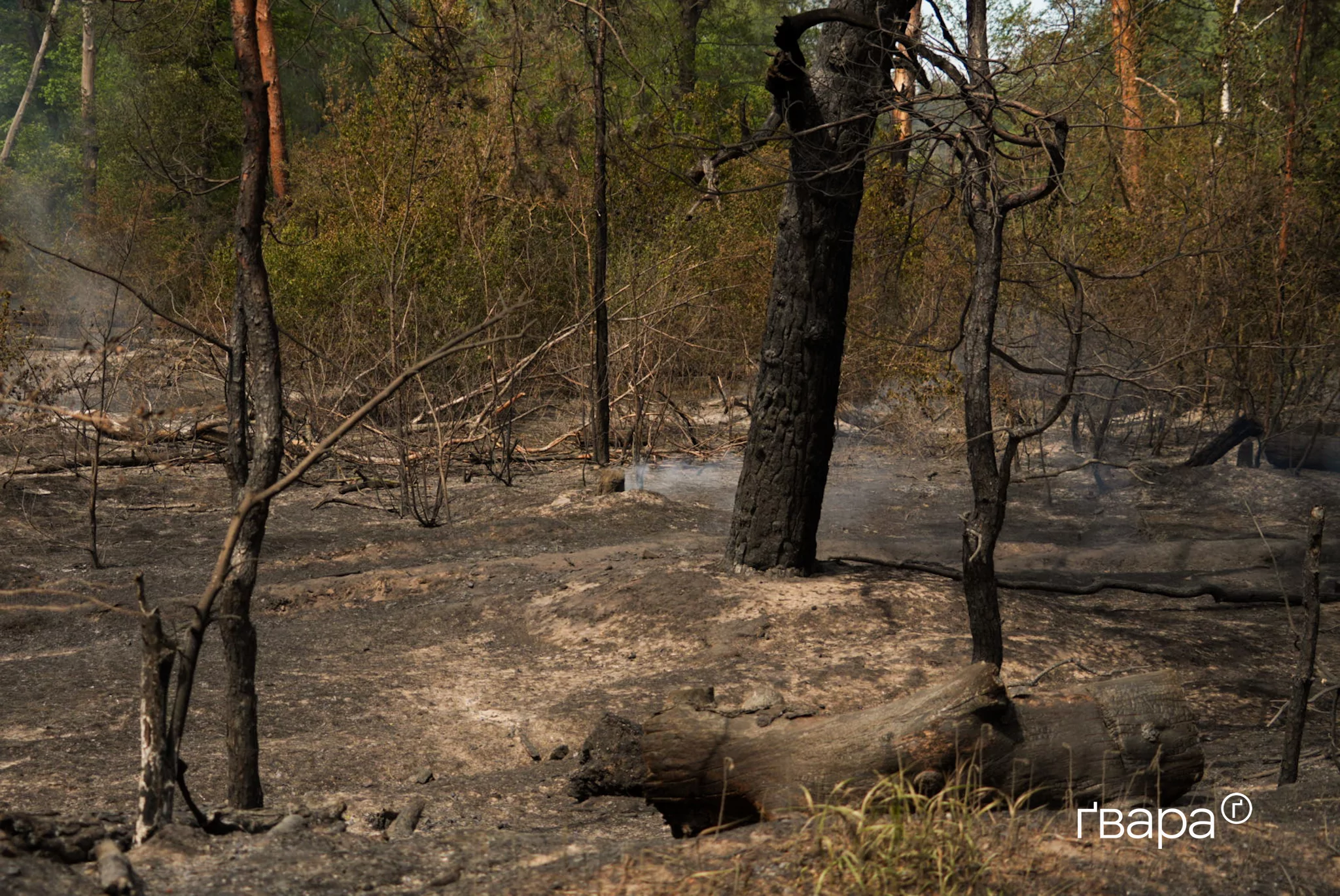 зображення до посту: Як в Ізюмі усувають масштабну лісову пожежу — фоторепортаж