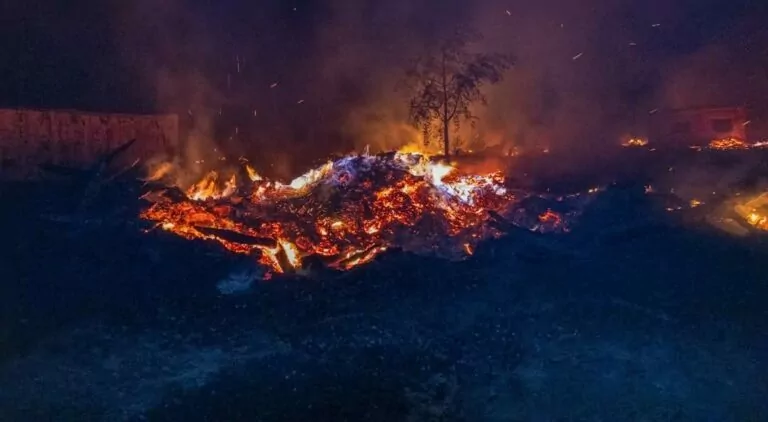 Жителі Ізюма, яким пропонували евакуацію через пожежу у лісі, відмовилися виїжджати