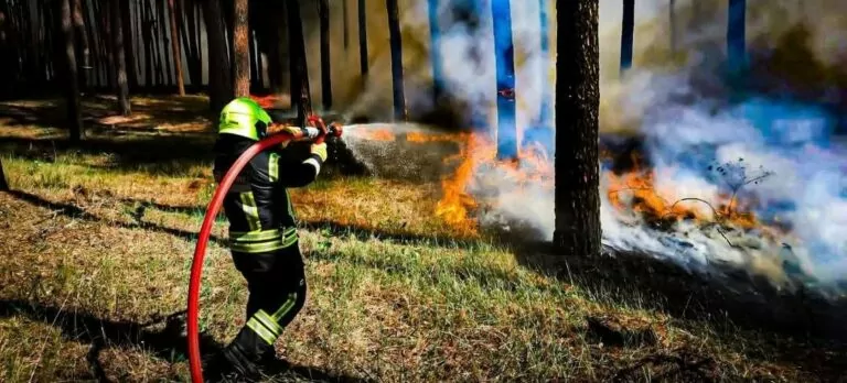 В Ізюмському районі ліквідовано п’ять лісових пожеж