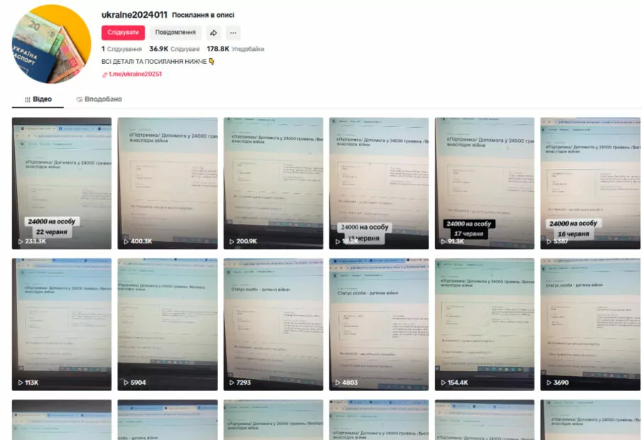 TikTok поширює фейкову інформацію про грошову допомогу українцям
