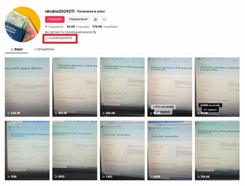 TikTok про оформлення грошової допомоги