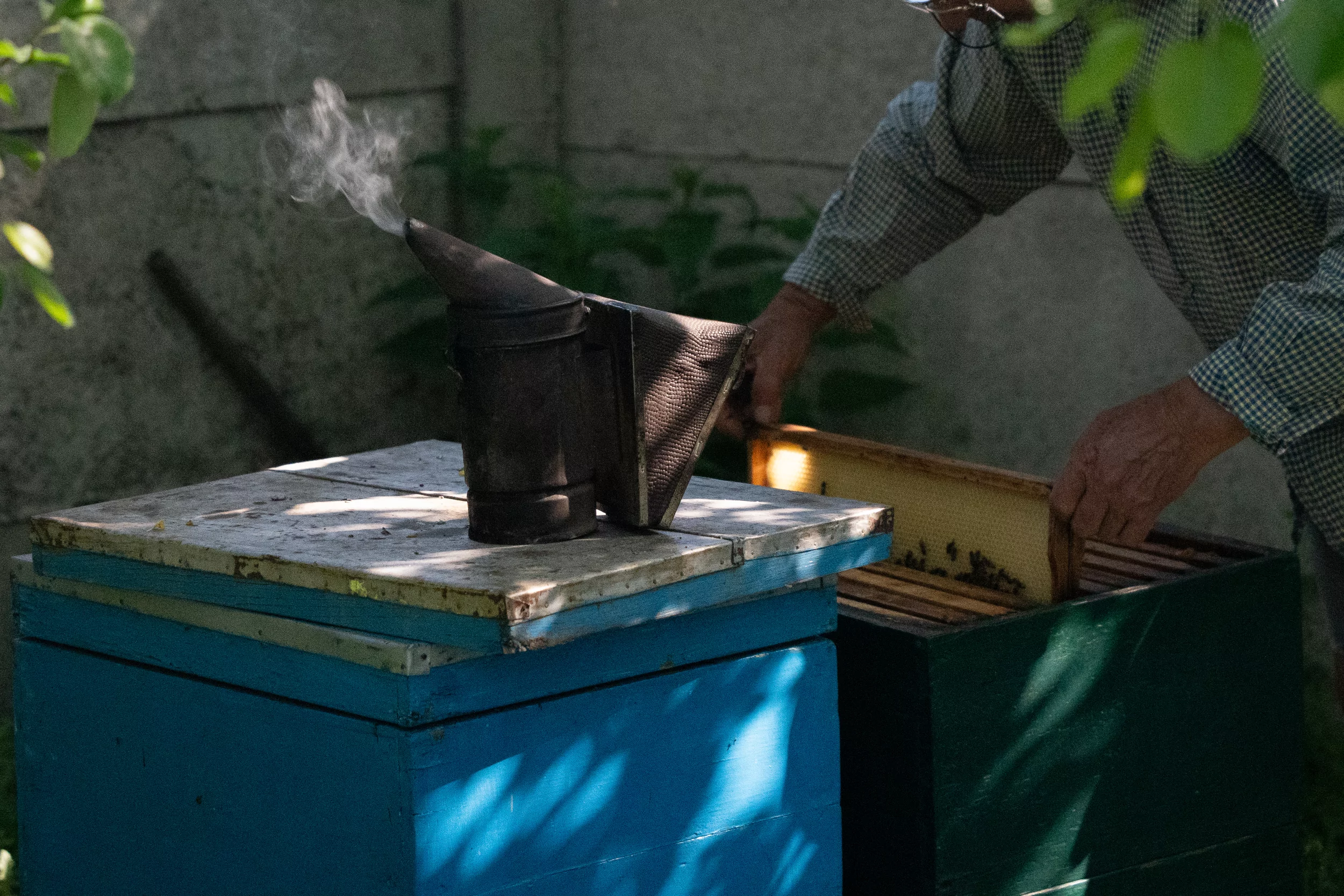 Viktor works in his apiary in Okhoche