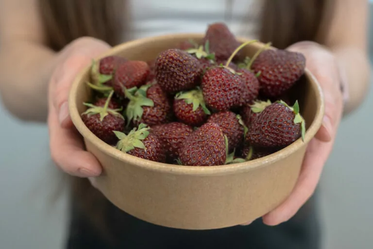 “My garden is my safe place.” How people in Kharkiv Oblast grow fruits, vegetables despite spring frosts and Russia