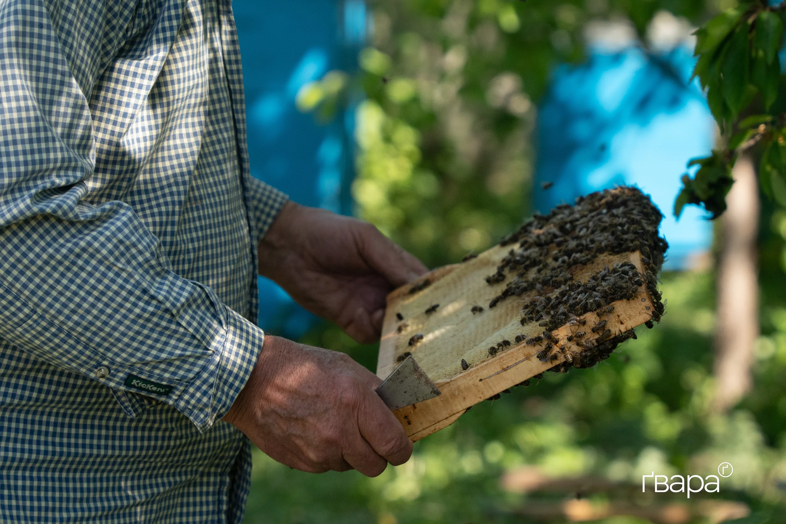 Віктор працює на своїй пасіці в Охочому