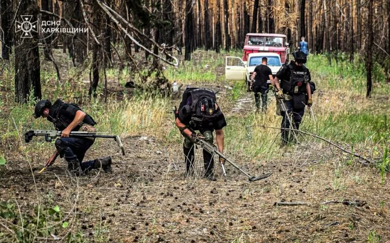 На Харківщині за тиждень розмінували понад 194 гектари територій