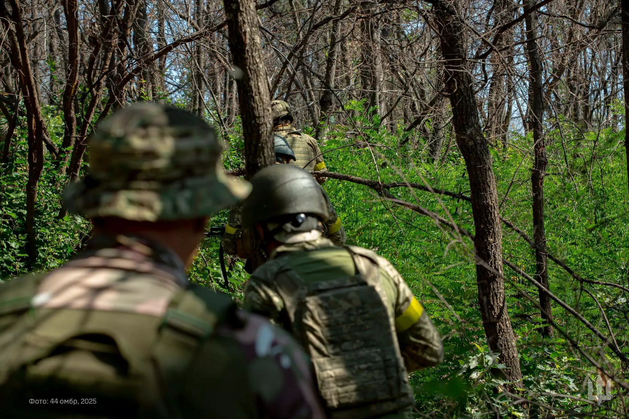 Ukrainian forces