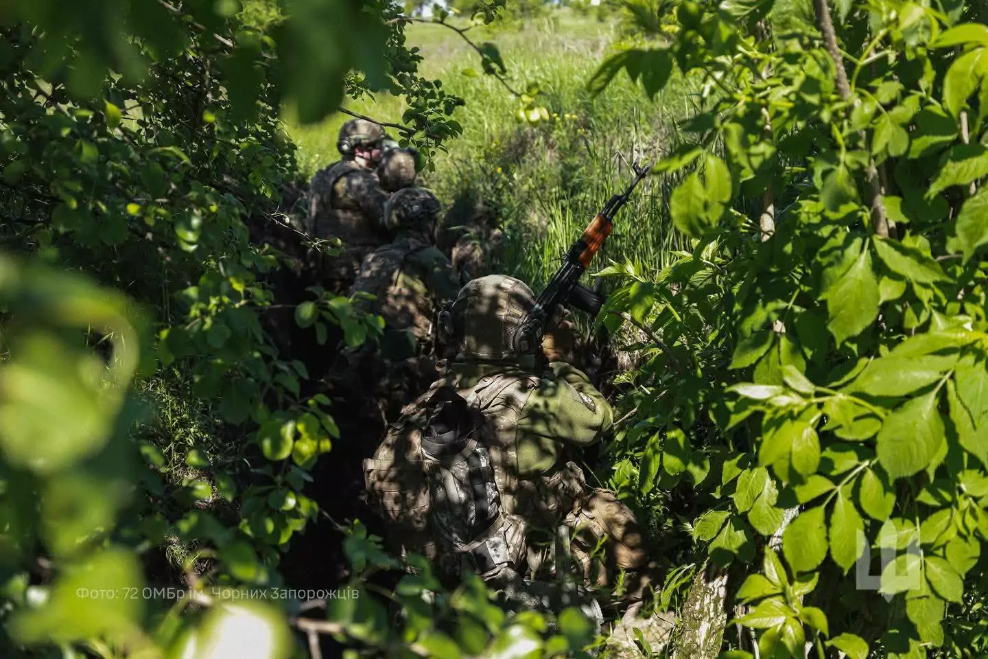 Ukrainian forces