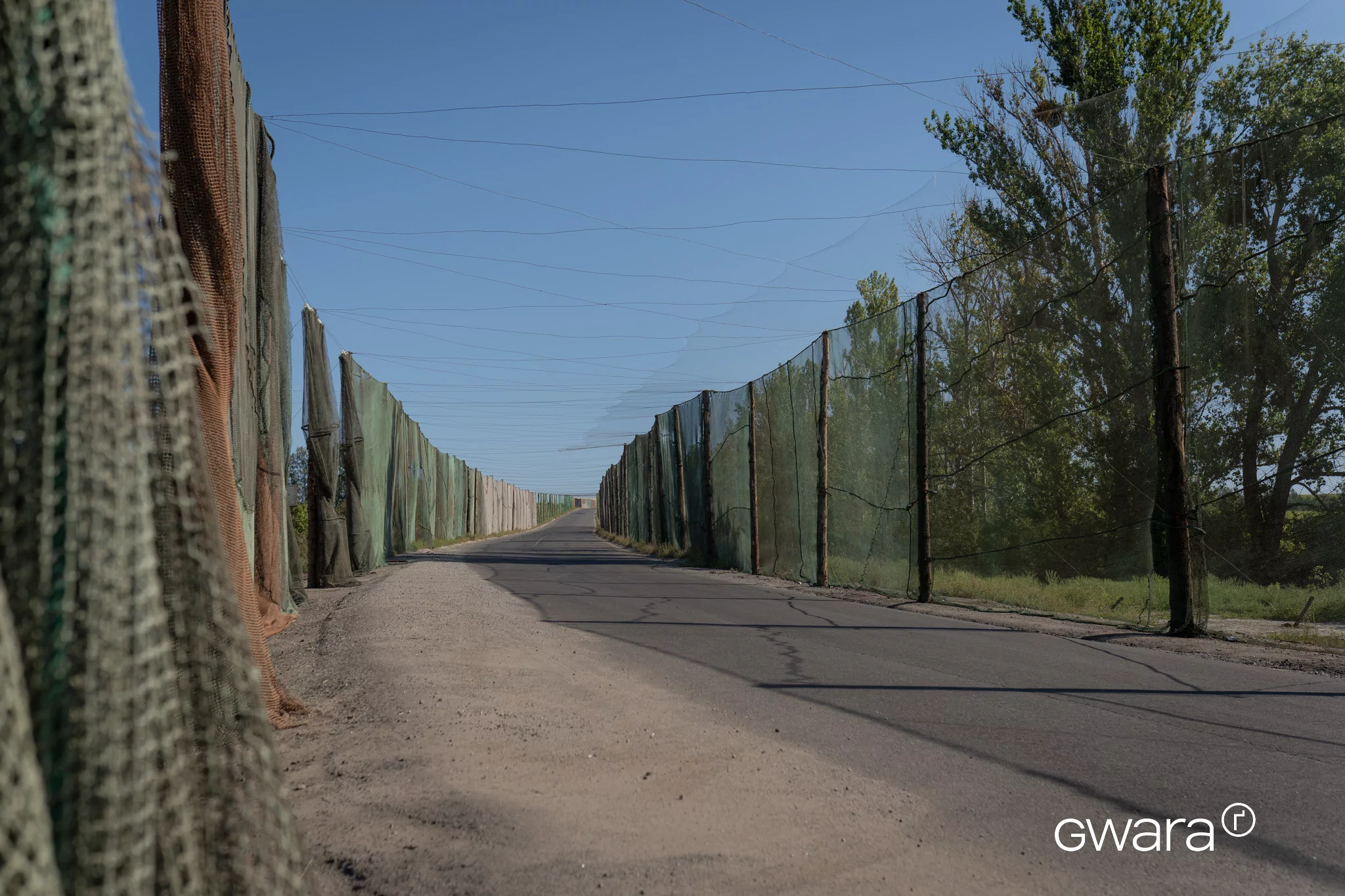 Road near Kupiansk protected by anti-drone nets. August 2025