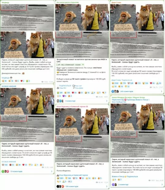 Скриншоти з Tg-каналів з новиною про суд над активістом зі шпіцом та постером з написом «Я – пес, а Зеленський – псина»
