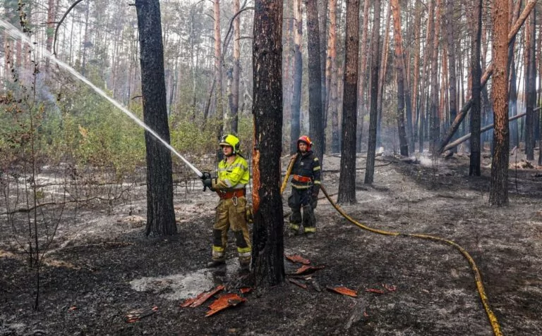 В Ізюмському районі ліквідовують масштабну лісову пожежу