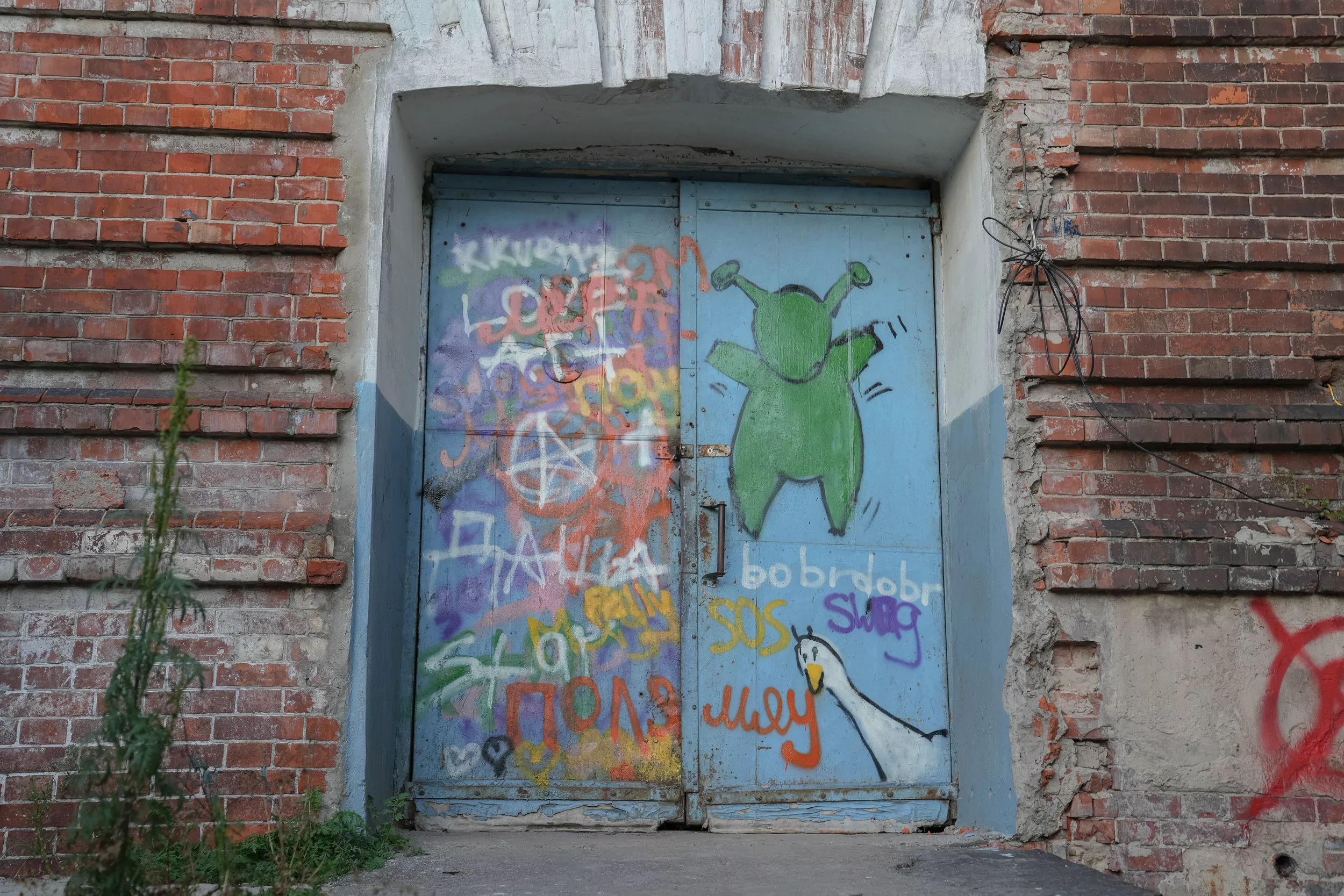 Participants' paintings at Wall&Minds festival