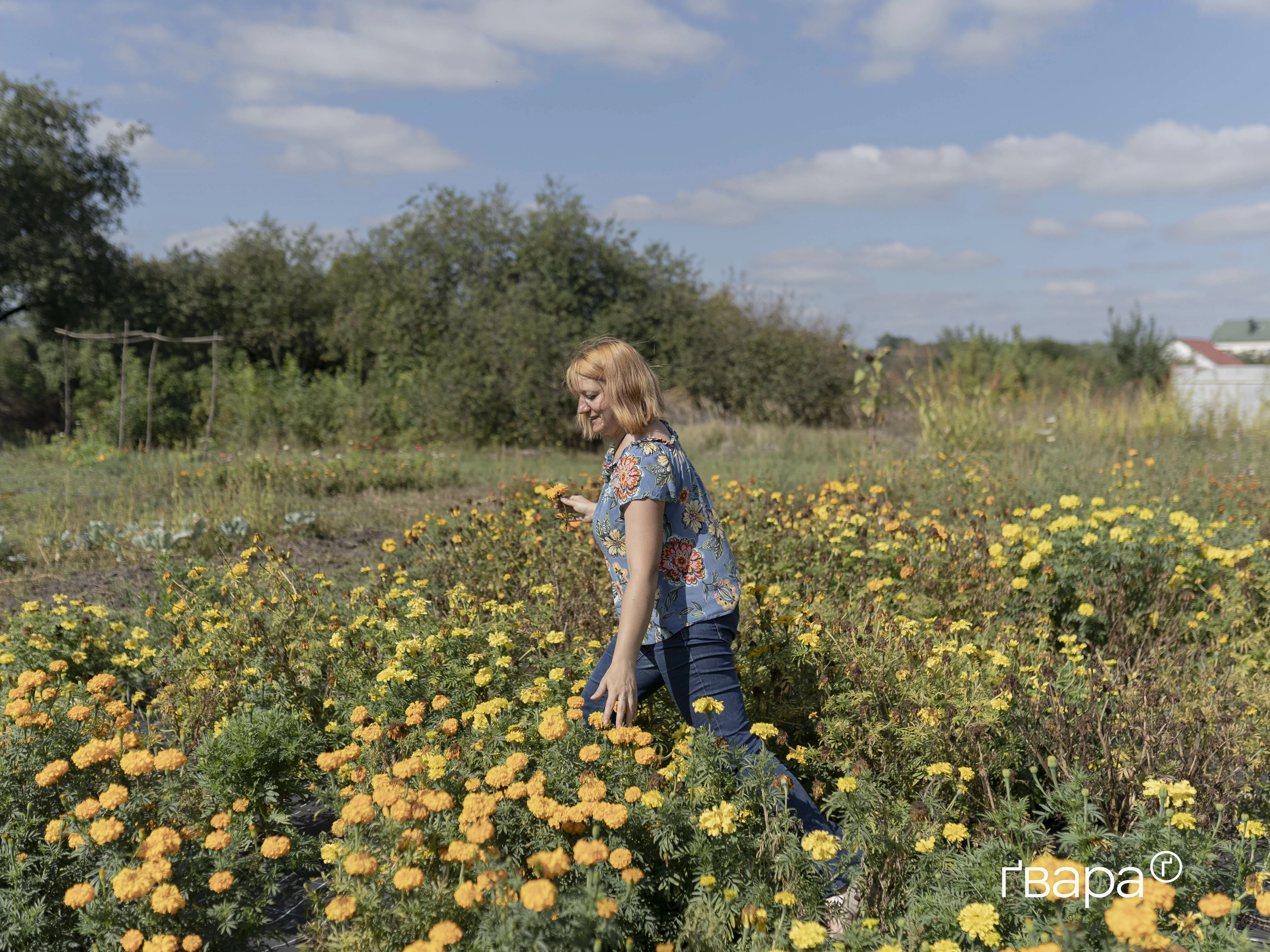 зображення до посту: Посеред вибухів прифронту ростуть чорнобривці. Наталія робить з них варення для всього світу