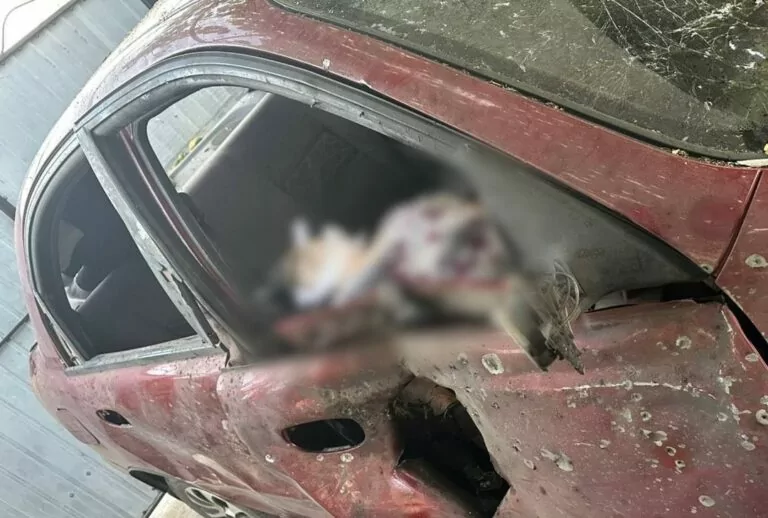 Росіяни вдарили по цивільному авто у Куп’янському районі: є загибла та постраждалий