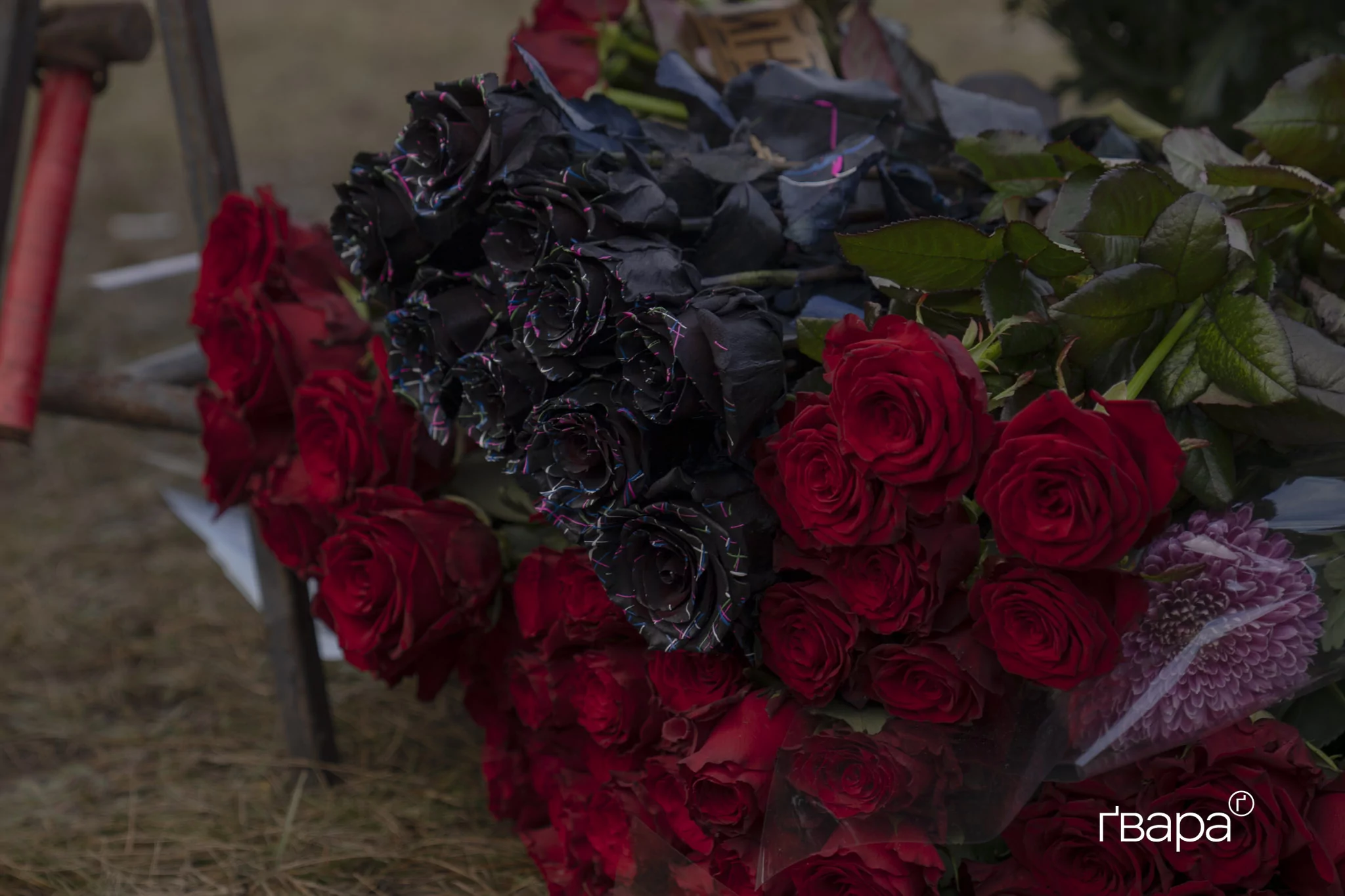 зображення до посту: У Харкові попрощалися з бойовою медикинею підрозділу «Гострі Картузи» Мариною Воронцовою — фото