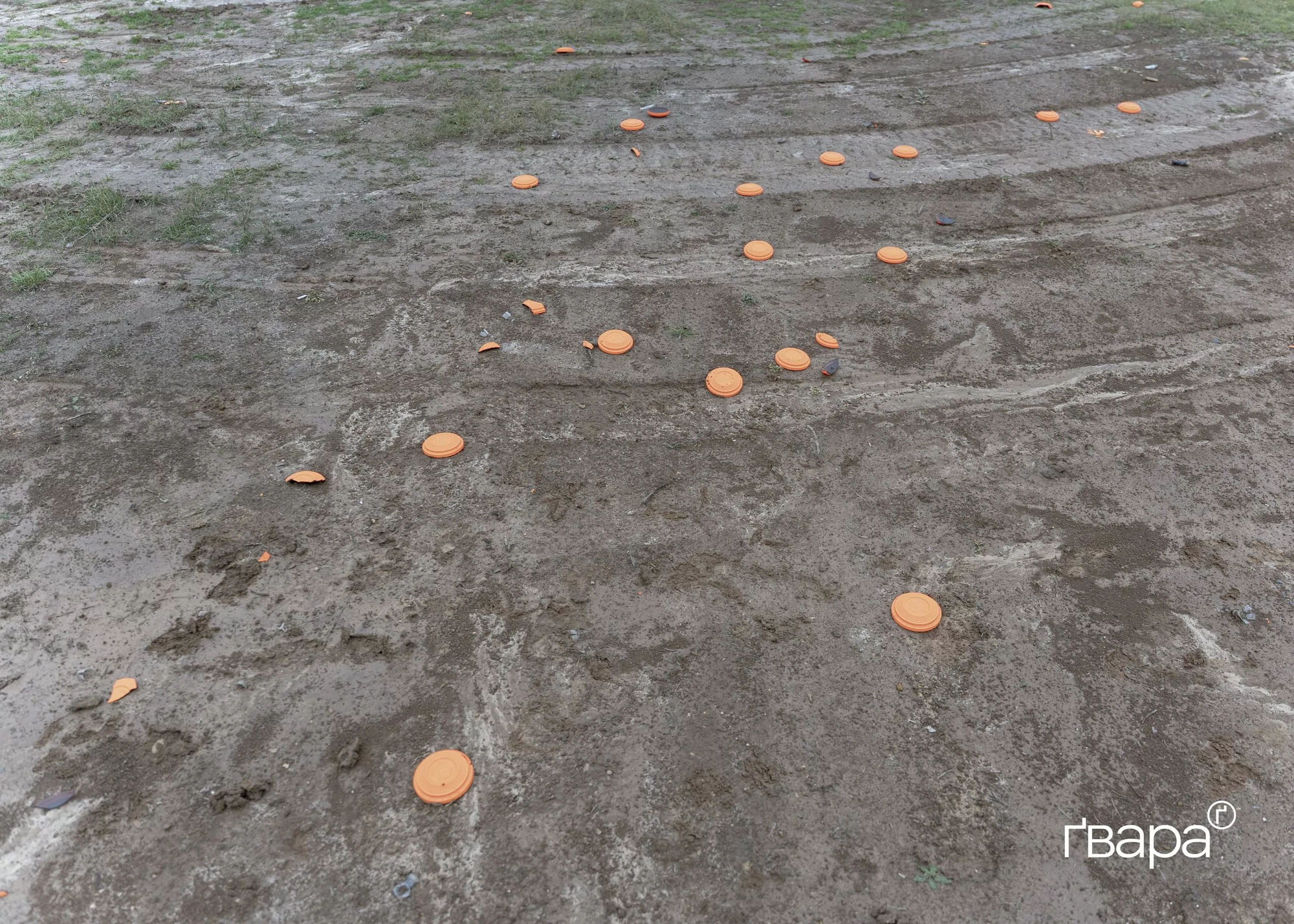 Військові бригади «Хартія» проходять тренування зі стрільби по рухомих та нерухомих обʼєктах / Фото: Ґвара Медіа, Микита Кузнецов