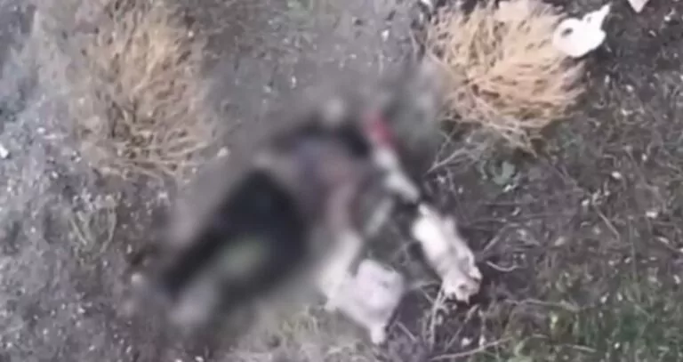 Ідентифікувати двох загиблих цивільних у Кругляківці неможливо — 77 ОАеМБр