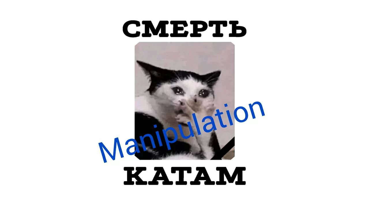 У Львові виступили проти котів та російського мяв