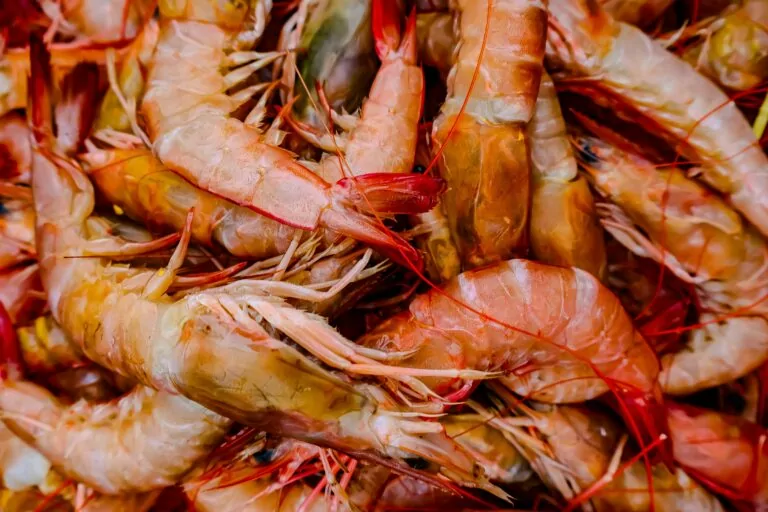 Як приготувати заморожені креветки без помилок?