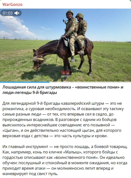 Скриншот новини з телеграм-каналу Wargonzo про те, як навчають особовий склад армії РФ їздити верхи