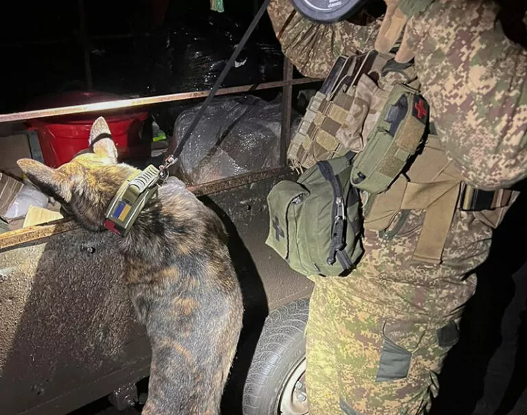 За рік на блокпостах біля Харкова вилучили 63 кг вибухівки