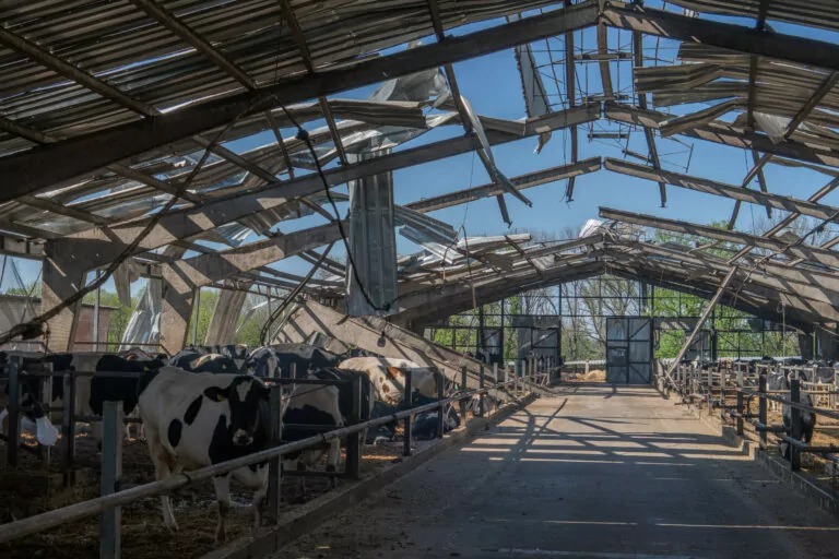 Russian attacks destroy or damage over 500 agricultural businesses in Kharkiv oblast