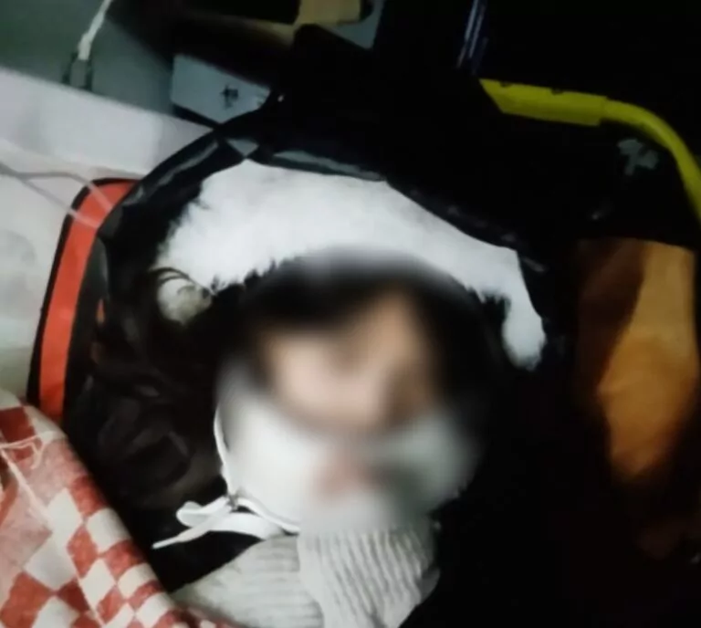 У лісі на Харківщині загубилася громадянка Японії: що сталося