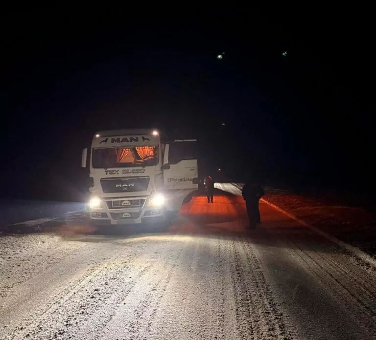 На Харківщині водій вантажівки на смерть збив пішохода