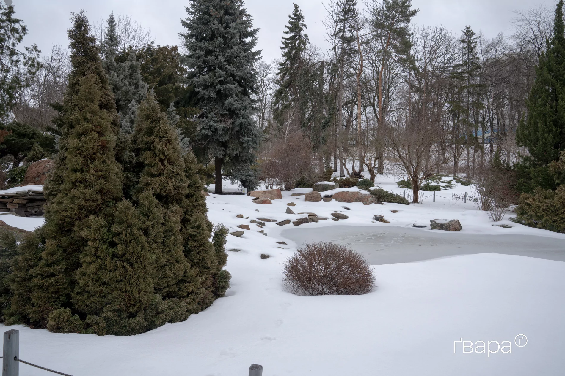 зображення до посту: Як Харківський ботанічний сад пережив цю зиму &mdash; фото