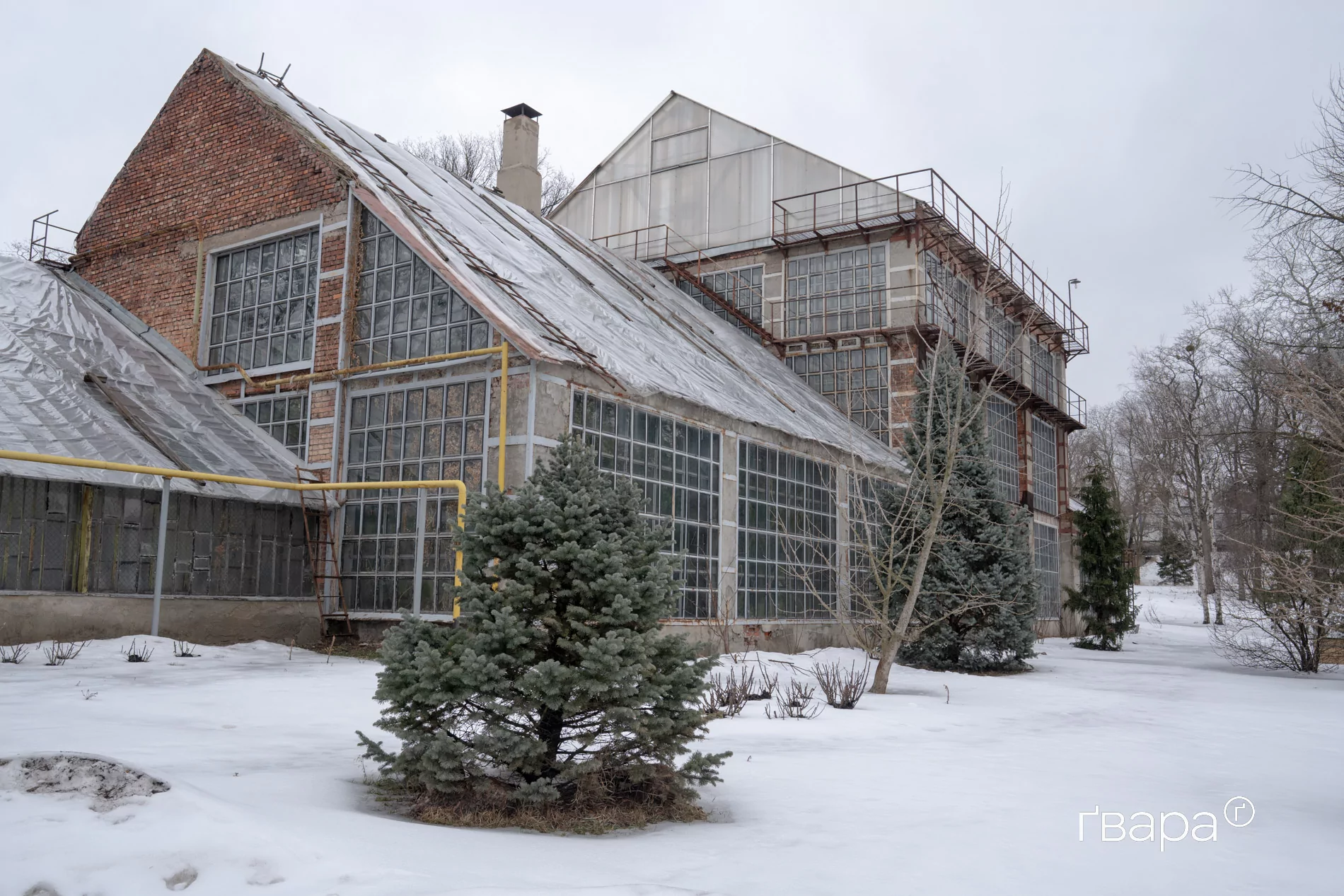 зображення до посту: Як Харківський ботанічний сад пережив цю зиму &mdash; фото