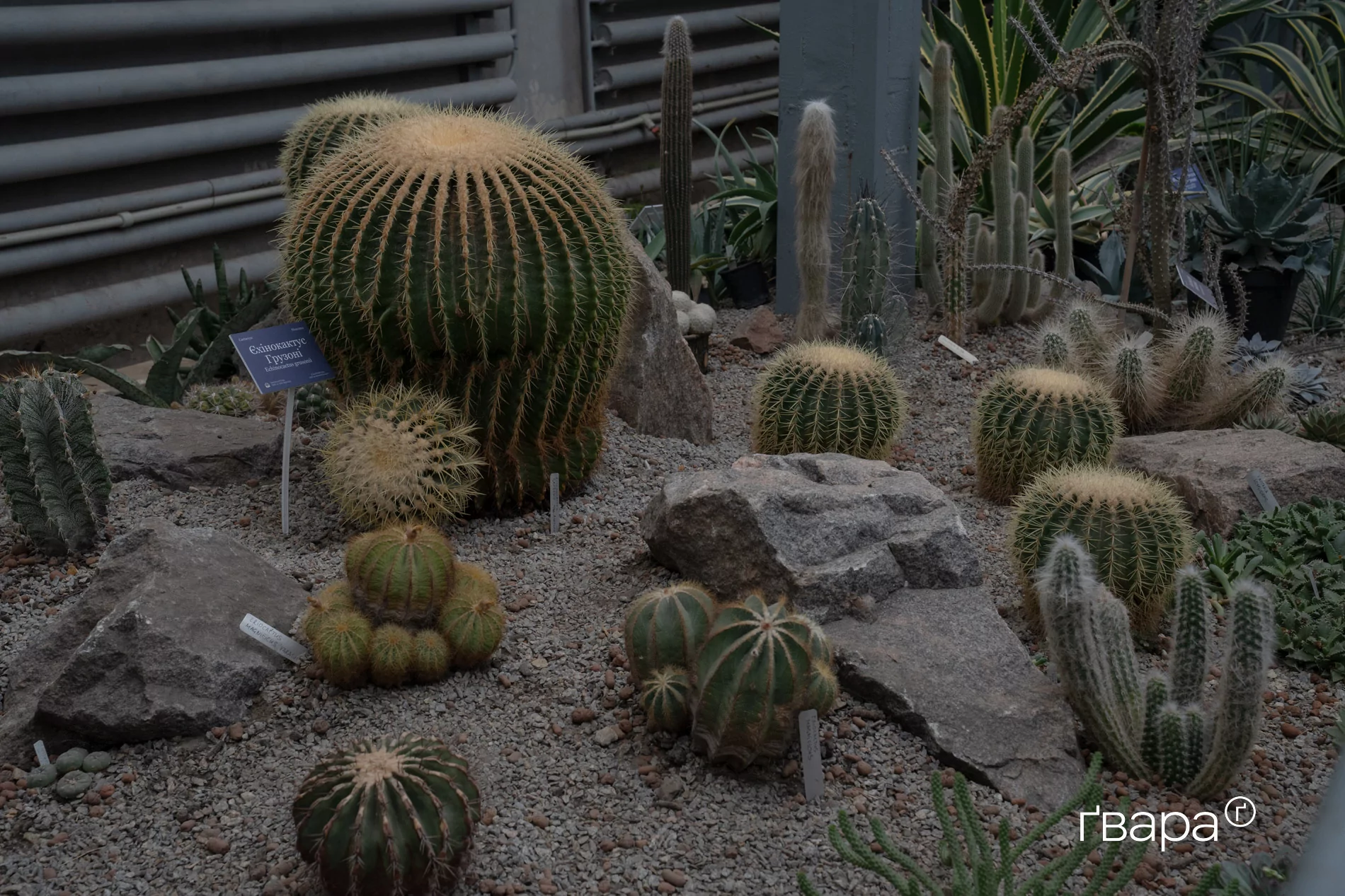 зображення до посту: Як Харківський ботанічний сад пережив цю зиму &mdash; фото