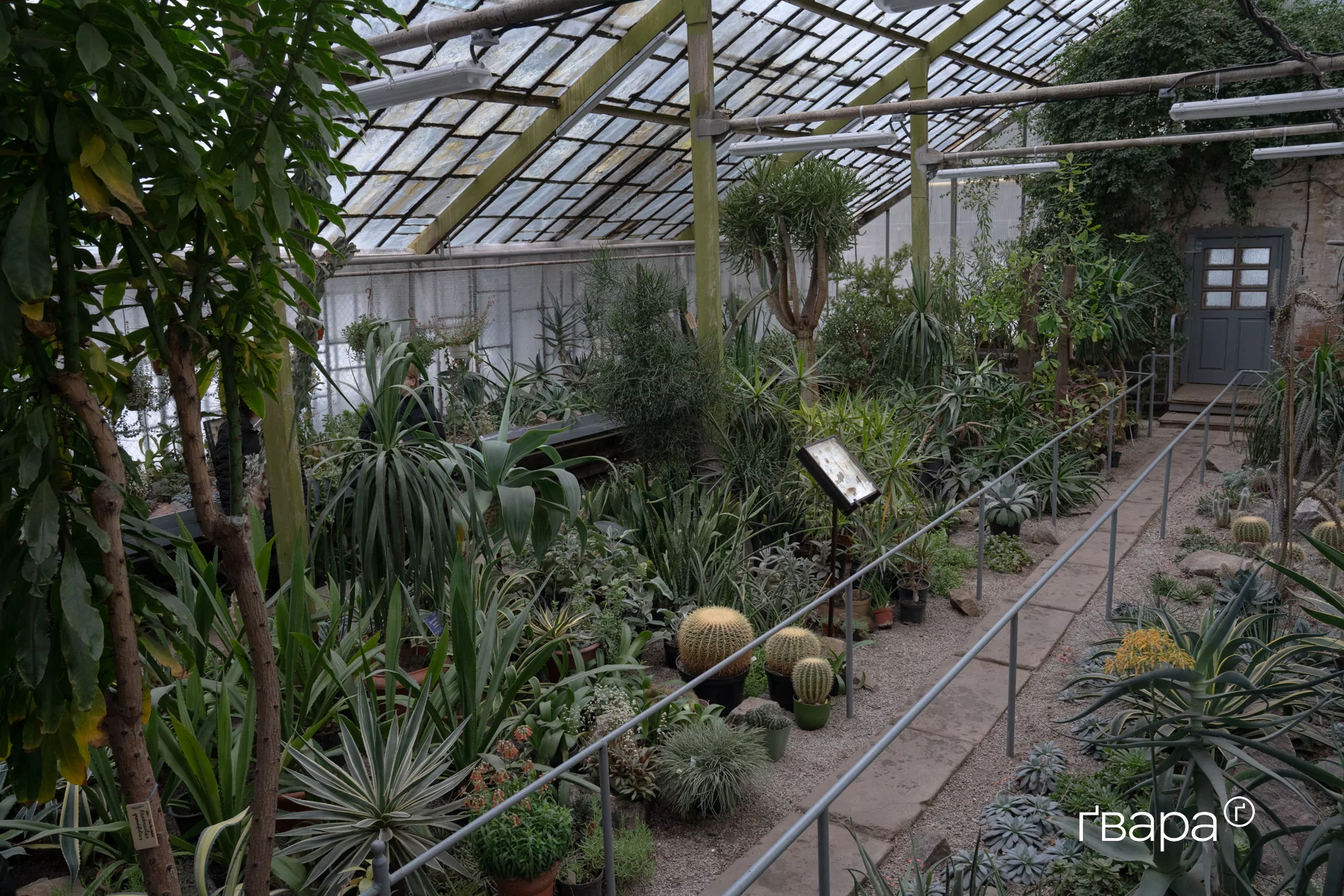 зображення до посту: Як Харківський ботанічний сад пережив цю зиму &mdash; фото