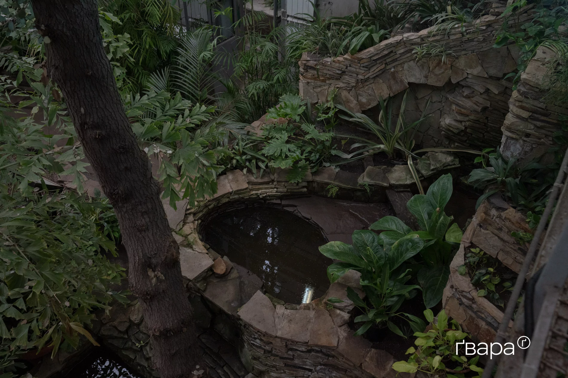 зображення до посту: Як Харківський ботанічний сад пережив цю зиму &mdash; фото